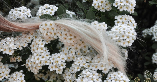 Fermented Rice Bran: The Ultimate Hair Conditioner Ingredient